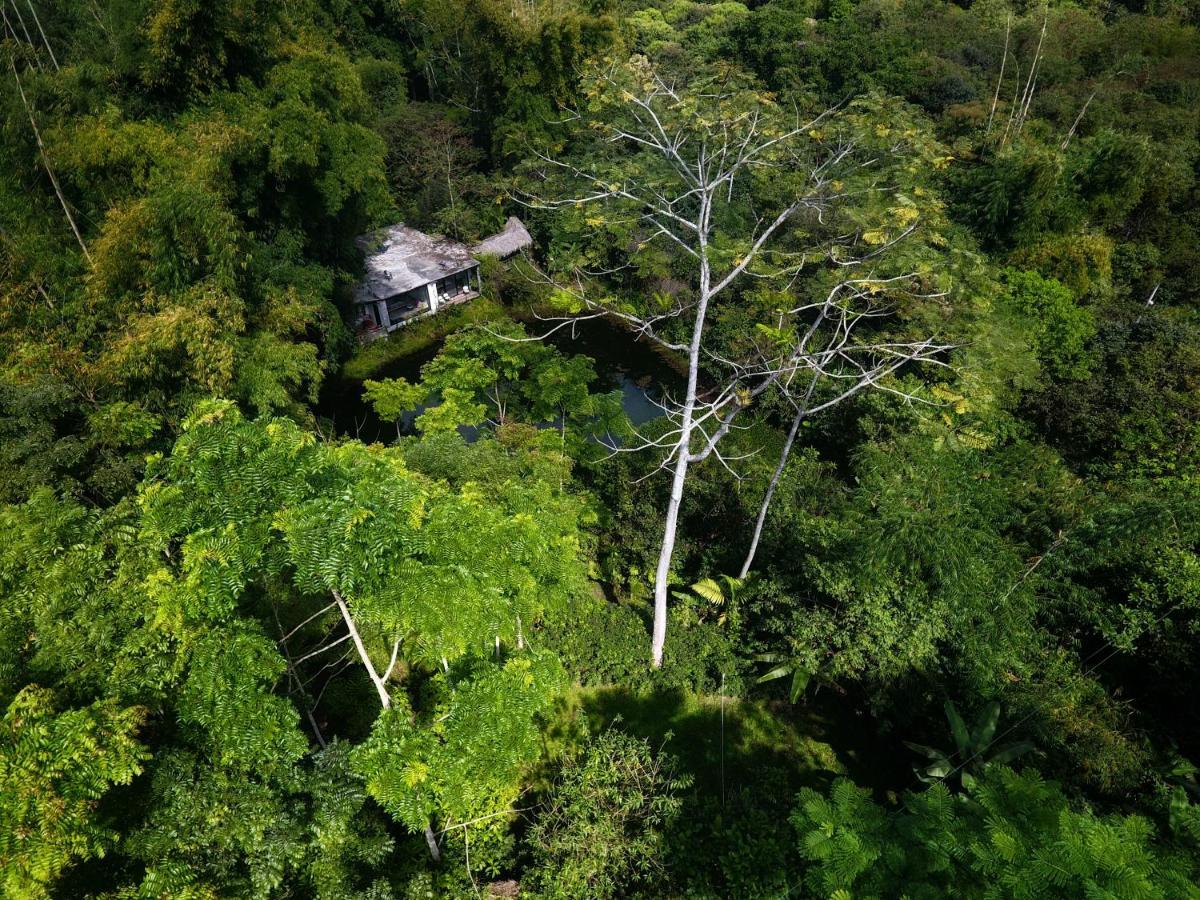 Cantalarana Lodge Mindo Exteriér fotografie