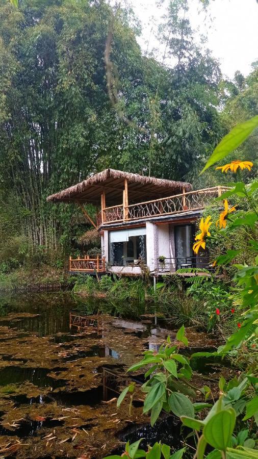 Cantalarana Lodge Mindo Exteriér fotografie