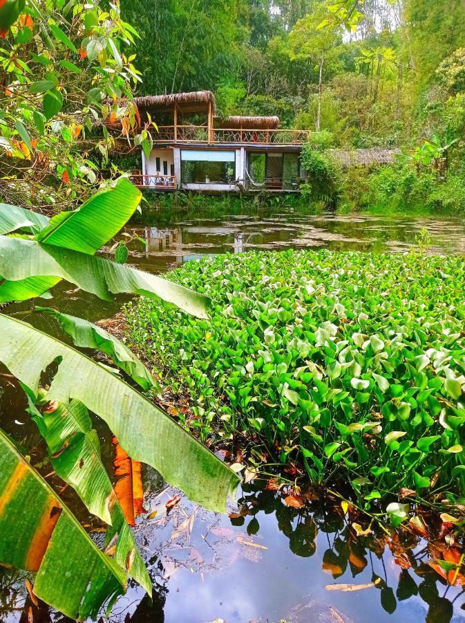 Cantalarana Lodge Mindo Exteriér fotografie